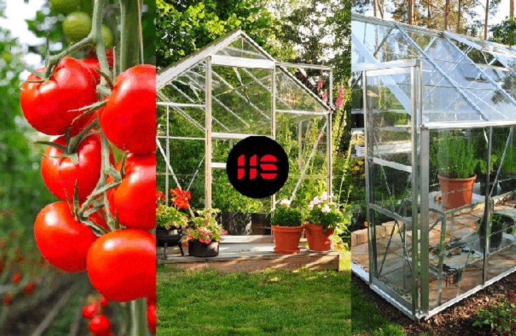 Jak zařídit skleník